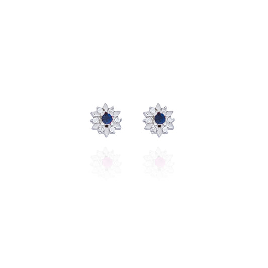 Silver Zavya Blue Stone Tops