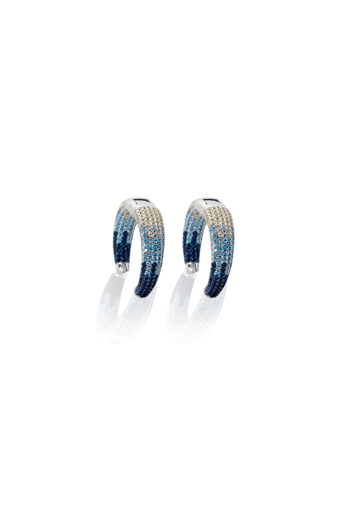 Two Shades of Blue Earrings