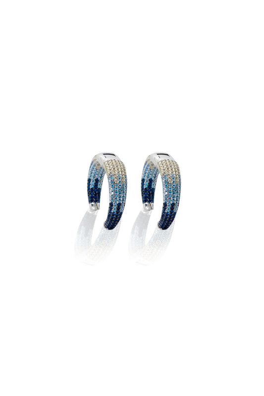 Two Shades of Blue Earrings