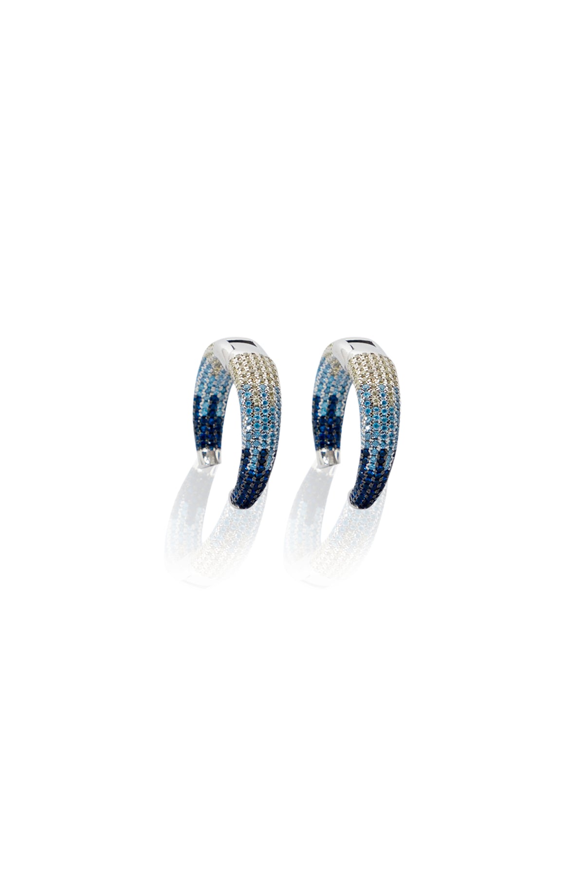 Two Shades of Blue Earrings