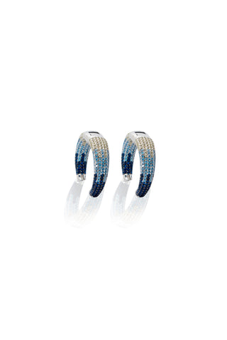 Two Shades of Blue Earrings