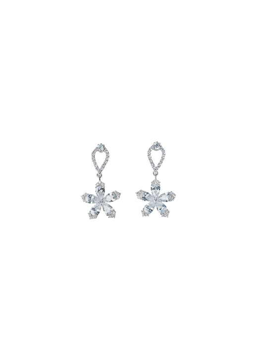 star earrings